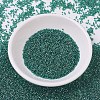 MIYUKI Delica Beads SEED-J020-DB0919-2