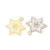 Glass Seed Beads Pendants PALLOY-MZ01457-2