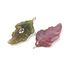 Natural Indian Agate Carved Pendants G-K372-06G-05-2