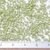 MIYUKI Delica Beads SEED-J020-DB2123-4