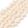 Natural Cultured Freshwater Pearl Beads Strands PEAR-I007-04F-01A-2