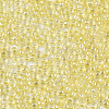 Glass Seed Beads SEED-S042-11A-05-3