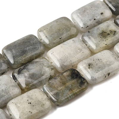 Natural Labradorite Beads Strands G-S386-A03-1