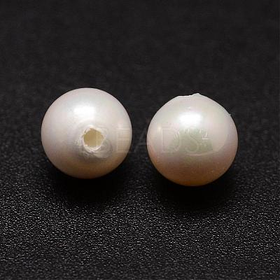 Shell Pearl Beads BSHE-L031-01-6mm-1
