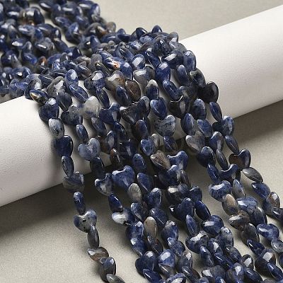 Natural Sodalite Beads Strands G-P575-C15-6mm-1