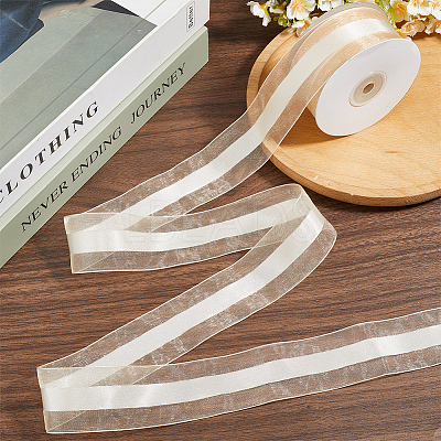 Polyester Ribbon OCOR-WH20013-005E-1