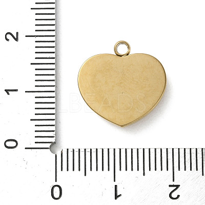 304 Stainless Steel Acrylic Pendants LS-STAS-M091-02B-G-1