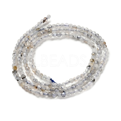 Natural Labradorite Beads Strands G-RM2025-10-2mm-1