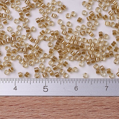 MIYUKI Delica Beads SEED-MY11-DB0901-1
