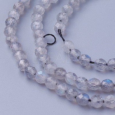 Natural Labradorite Beads Strands G-F619-15-4mm-1