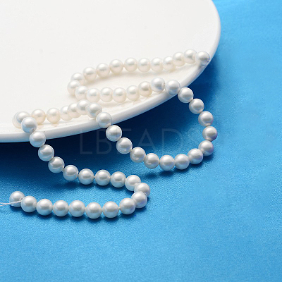 Polished Shell Pearl Round Beads Strands SP6MM701-1