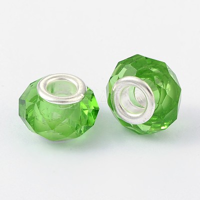 Handmade Glass European Beads GPDL25Y-17-1