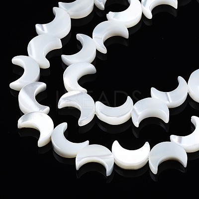 Natural Trochid Shell/Trochus Shell Beads Strands SSHEL-S266-025A-01-1