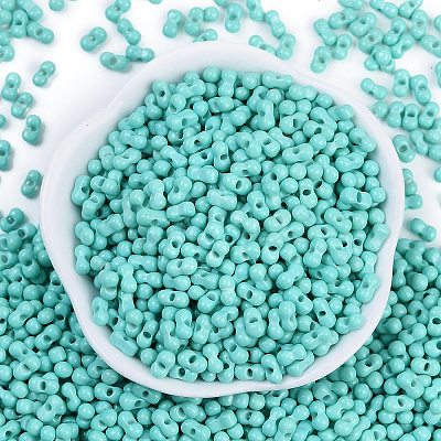Baking Paint Glass Seed Beads X1-SEED-K010-A19-1