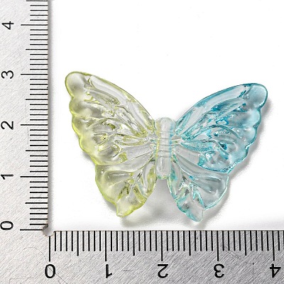 Two Tone Transparent Acrylic Beads OACR-E041-06D-1