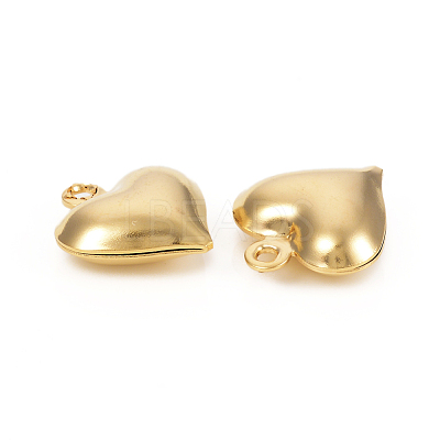 304 Stainless Steel Charms STAS-I149-02G-1
