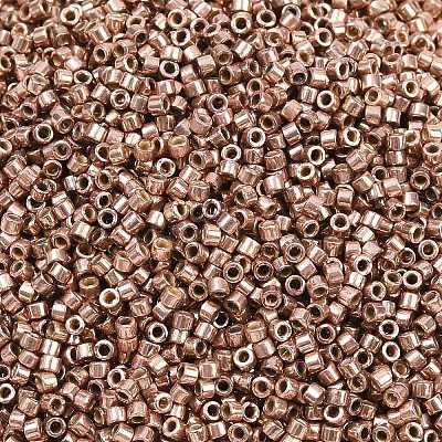 MIYUKI Delica Beads SEED-MY11-DB2504-1