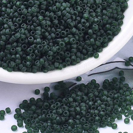 MIYUKI Round Rocailles Beads X-SEED-G007-RR0156F-1