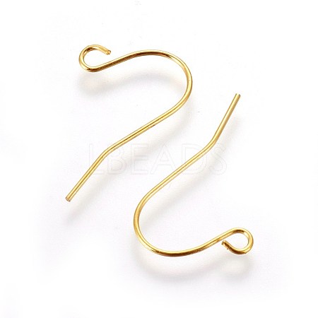 Iron Earring Hooks IFIN-T001-04G-NF-1