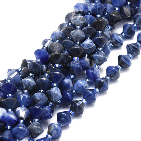 Natural Sodalite Beads Strands G-E569-C09-1