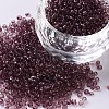 Transparent Round 12/0 Glass Seed Beads SEED-A004-2mm-16-1
