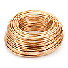 Round Anodized Aluminum Wire AW-S001-3.0mm-28-1