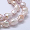 Natural Cultured Freshwater Pearl Beads Strands PEAR-K004-05B-01-3