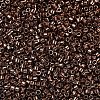 MIYUKI Delica Beads X-SEED-J020-DB0460-3