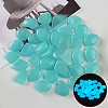 Resin Luminous Glow in the Dark Pebbles Stone PW-WG30806-10-1