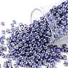 TOHO Round Seed Beads SEED-JPTR08-PF0567-1