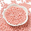 Baking Paint Luster Glass Seed Beads SEED-B001-04A-08-2