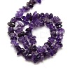 Natural Amethyst Chips Beads Strands X-G-P030-02-3