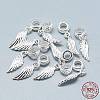 925 Sterling Silver European Dangle Charms STER-T002-67S-3