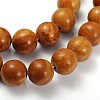 Gemstone Beads Strands GSR050-2