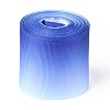 Gradient Rainbow Polyester Ribbon OCOR-G008-04A-1
