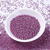 MIYUKI Delica Beads SEED-MY11-DB2156-2