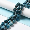 Natural Apatite Beads Strands G-B028-B09-2