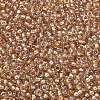 MIYUKI Round Rocailles Beads SEED-G007-RR3521-2