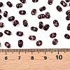 Picasso Spray Painted Glass Seed Beads SEED-T006-04-23-4