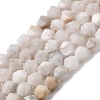 Natural Crazy Agate Beads Strands G-Z119-A12-01-2