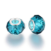 Handmade Glass European Beads LS-X-GPDL25Y-77-2