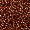TOHO 8/0 Round Beads SEED-XTR08-2208-2