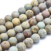 Natural Aqua Terra Jasper Beads Strands G-N0128-48F-8mm-1