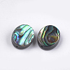 Abalone Shell/Paua Shell Beads SSHEL-T008-04-2