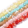 Natural Shell Beads BSHE-B003-19-1