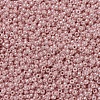 MIYUKI Round Rocailles Beads SEED-G007-RR0429-3