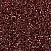 MIYUKI Delica Beads SEED-MY11-DB2160-3