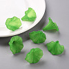 Transparent Acrylic Beads BSF796-C07-8