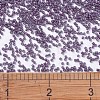 MIYUKI Delica Beads X-SEED-J020-DB0662-4