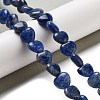 Natural Sodalite Beads Strands G-R190-10mm-37-2